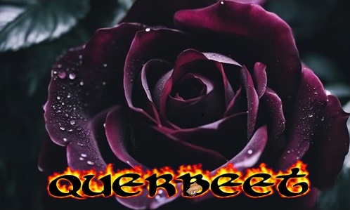 Thema